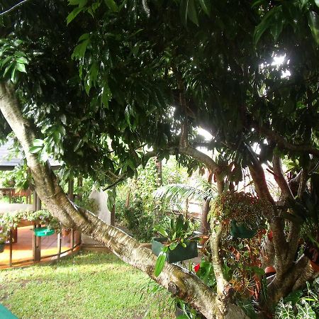 Les Agapanthes Villa Le Tampon Bagian luar foto