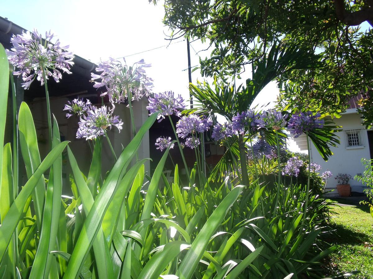 Les Agapanthes Villa Le Tampon Bagian luar foto
