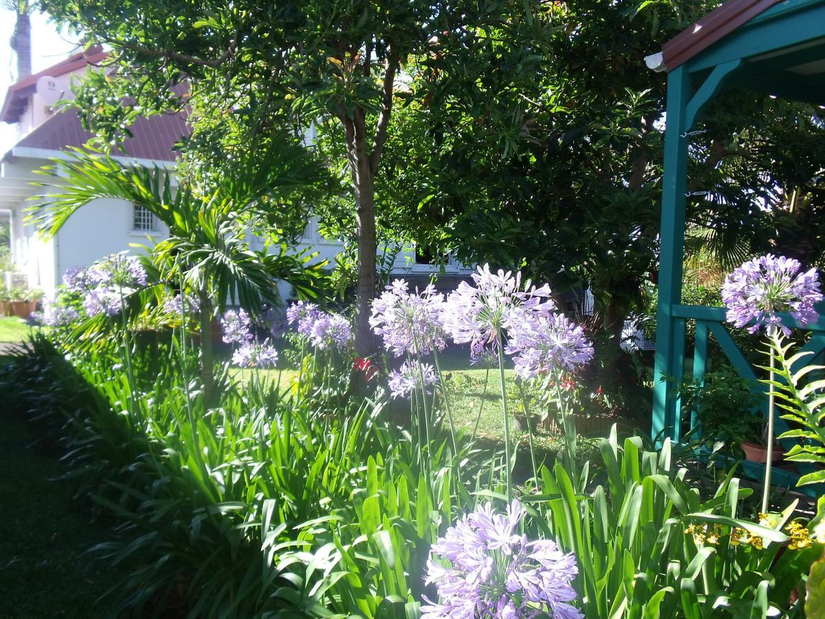 Les Agapanthes Villa Le Tampon Bagian luar foto