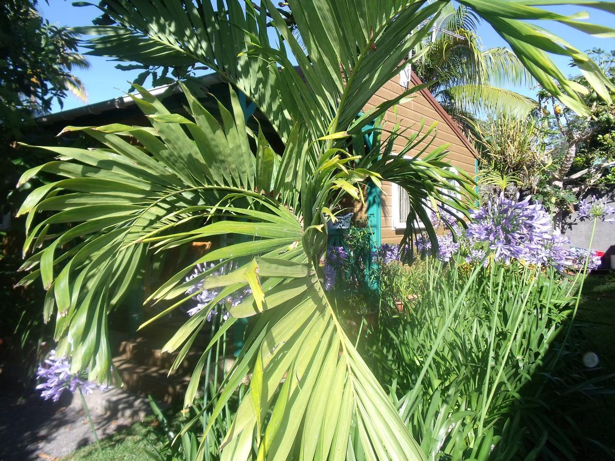 Les Agapanthes Villa Le Tampon Bagian luar foto
