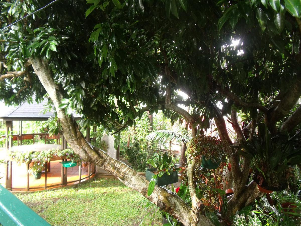 Les Agapanthes Villa Le Tampon Bagian luar foto