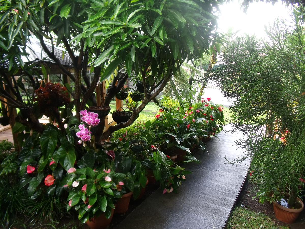 Les Agapanthes Villa Le Tampon Bagian luar foto