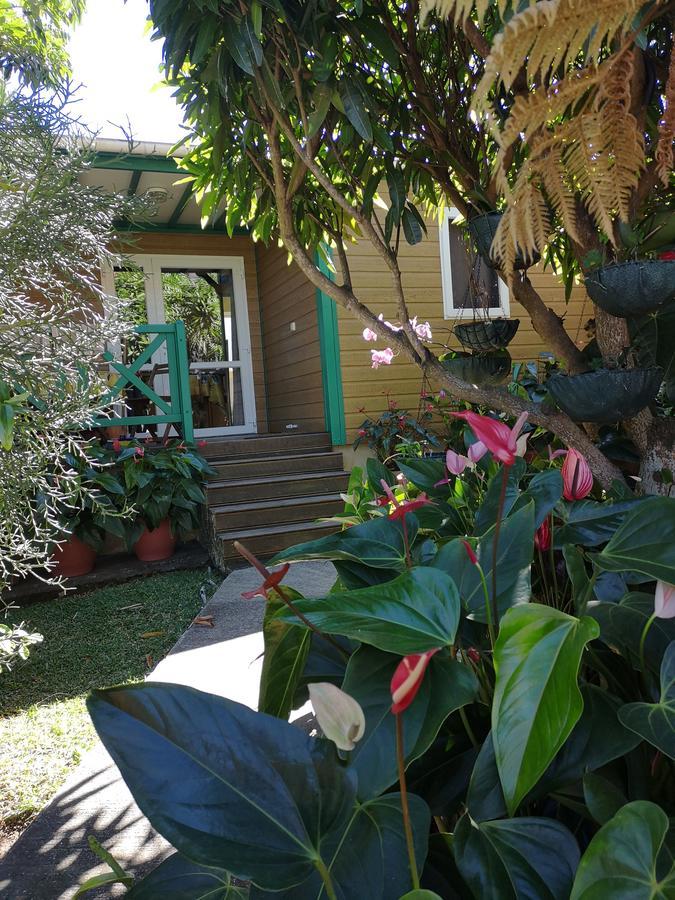 Les Agapanthes Villa Le Tampon Bagian luar foto